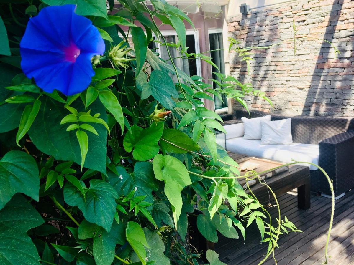 Bed and Breakfast Cool Clima Olivos Exteriér fotografie